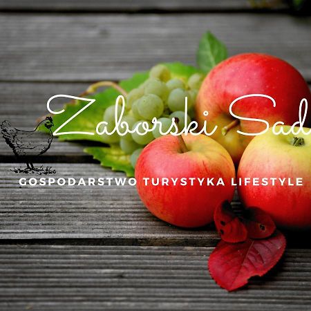 Gospodarstwo Zaborski Sad Luaran gambar