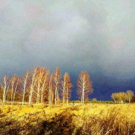 Gospodarstwo Zaborski Sad Luaran gambar